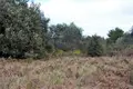 Atterrir 1 chambre  Chalikoúnas, Grèce