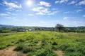 Land 11 817 m² Megali Panagia, Greece