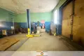 Manufacture 240 m² in Jacava, Belarus
