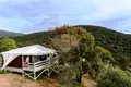 Propiedad comercial  en Scarlino, Italia