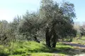 Land 1 room 1 800 m² Perithia, Greece