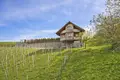 Established business 330 m² in Raka, Slovenia