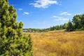 Atterrir 30 000 m² Kassandrino, Grèce