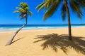Parcelas  Las Terrenas, República Dominicana