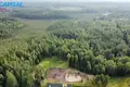 Land  Labanoras, Lithuania
