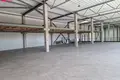 Gewerbefläche 2 216 m² in Zemaitkiemis, Litauen