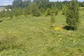 Land  Putcynski sielski Saviet, Belarus