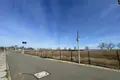 Apartment 10 000 m² in Gluchowo, Poland