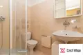 Apartamento 2 habitaciones 22 m² Chyne, Chequia