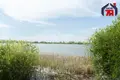Дом 53 м² Озеро, Беларусь