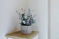 Mieszkanie 3 pokoi 110 m² San Pedro Alcantara, Hiszpania