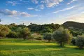 Atterrir 3 778 m² Kassandrino, Grèce