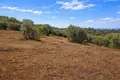 Land 4 483 m² Megali Panagia, Greece