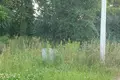 Wohnung 2 zimmer 49 m² Nieharelski sielski Saviet, Belarus