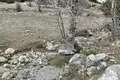 Land 14 m² Bedan, Turkey