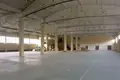Warehouse 30 000 m² in Kraskovo, Russia