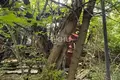 Atterrir 800 m² Sokolskoe, Russie