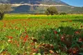 Atterrir  Polemi, Chypre