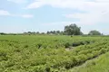 Działki 1 pokój 10 952 m² Paralia, Grecja