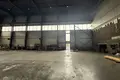 Nieruchomości komercyjne 3 500 m² w Jełgawa, Łotwa