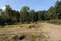Haus 250 m² Januskavicki sielski Saviet, Belarus