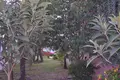 Cottage 2 bedrooms 240 m² Paralia, Greece