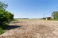 Atterrir 2 558 m² Sulejewo, Pologne