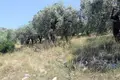 Земельные участки 1 комната  Скала Рахонио, Греция