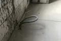 Mieszkanie 2 pokoi 61 m² Odessa, Ukraina