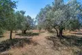 Land 1 500 m² Opcina Fazana, Croatia
