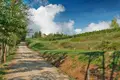 Investition 1 067 m² Greve in Chianti, Italien