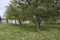 Dom 60 m² Łosznica, Białoruś