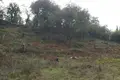 Działki 1 pokój  Ano Korakiana, Grecja