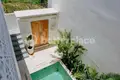 Villa 2 chambres  Badung, Indonésie