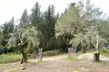1 room Cottage 240 m² Agios Georgios, Greece