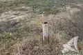 Land 33 m² Dzmitrovicki sielski Saviet, Belarus