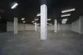 Warehouse 369 m² in Zdanovicy, Belarus