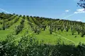 Nieruchomości inwestycyjne  Opcina Koncanica, Chorwacja