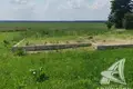 Atterrir  Lyscycki sielski Saviet, Bélarus