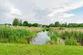 Дом 35 м² Пережирский сельский Совет, Беларусь
