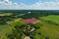 Dom 12 205 m² Nienawiszcz, Polska
