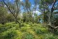 Atterrir 13 000 m² Megali Panagia, Grèce