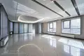 Gewerbefläche 10 zimmer 221 m² in Minsk, Belarus