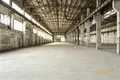 Производство 12 000 м² Новолукомль, Беларусь