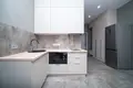 1 room apartment 26 m² Minsk, Belarus