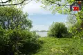 Дом 53 м² Озеро, Беларусь