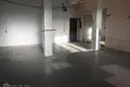 Commercial property 1 room 109 m² in Riga, Latvia