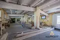 Manufacture 286 m² in Minsk, Belarus