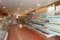 Gewerbefläche 2 300 m² Bekessamson, Ungarn
