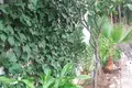 Haus 5 Schlafzimmer 210 m² Dos Hermanas, Spanien